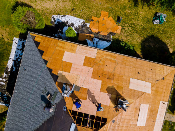 Best Storm Damage Roof Repair  in Markham, IL