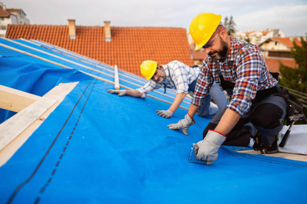 Best Gutter Installation and Roofing  in Markham, IL