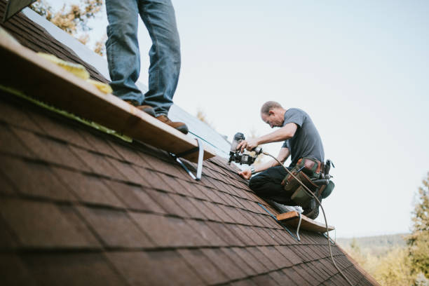 Best Storm Damage Roof Repair  in Markham, IL